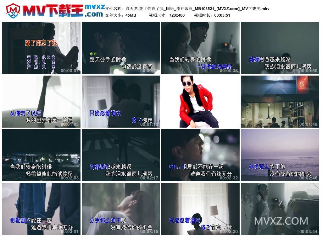 成天龙-放了你忘了我_国语_流行歌曲_MB103521